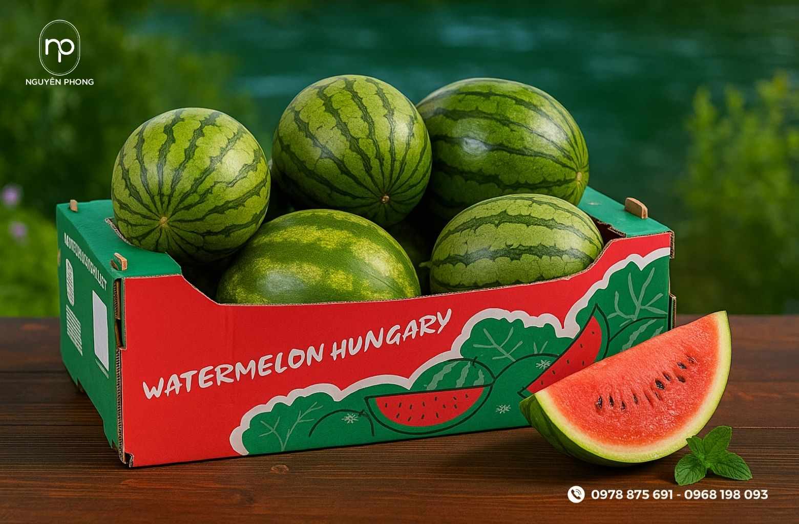 Màu sắc của thùng